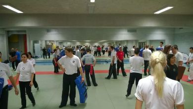 IMAA International martial arts alliance Wing Tjun Kung Fu Academy Luxemburg 2014 www.kungfudeutschland.de www.kungfuitalia.it Leonberg Italia Chun Tsun Brazilian Jiu Jitsu Escrima